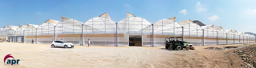 polytunnels greenhouses APR